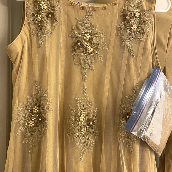 Brand new Pakistani Formal - Picture 3 of 5